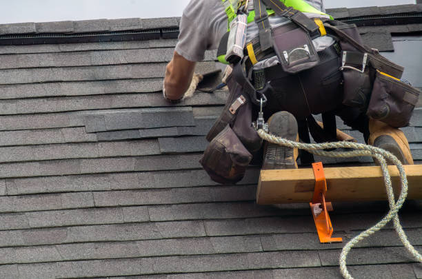 Best Roof Gutter Cleaning  in Vienna, IL